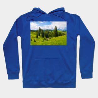 green hills panorama Hoodie